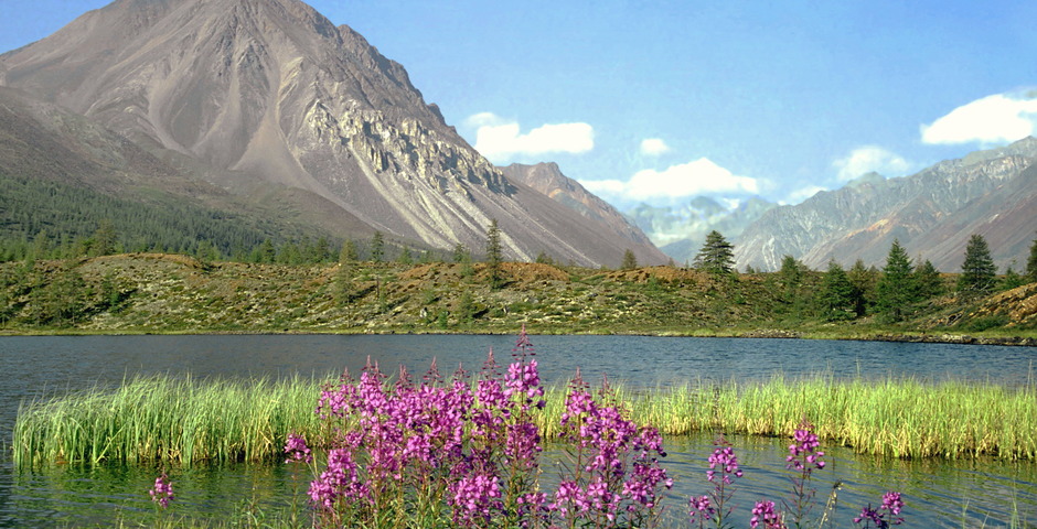 Дальний Восток станет ближе?